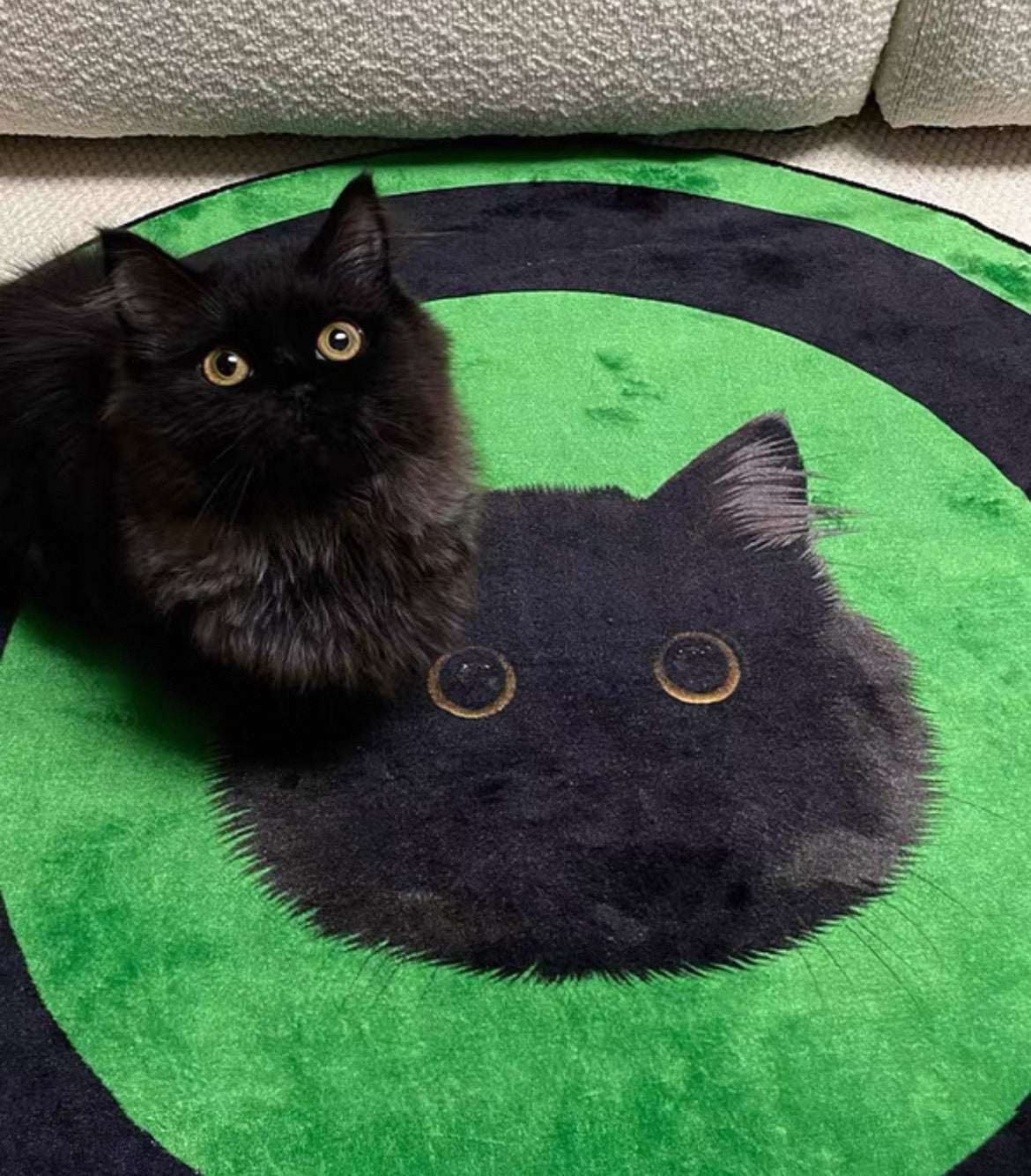 Custom Pet Photo Rug - Washable Milk Velvet Carpet | Pooji - Personalized Custom Pet Gift