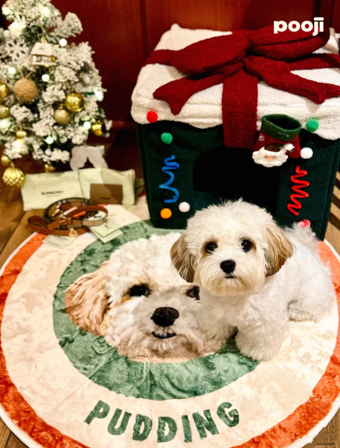 Custom Pet Photo Rug - Washable Milk Velvet Carpet | Pooji - Personalized Custom Pet Gift