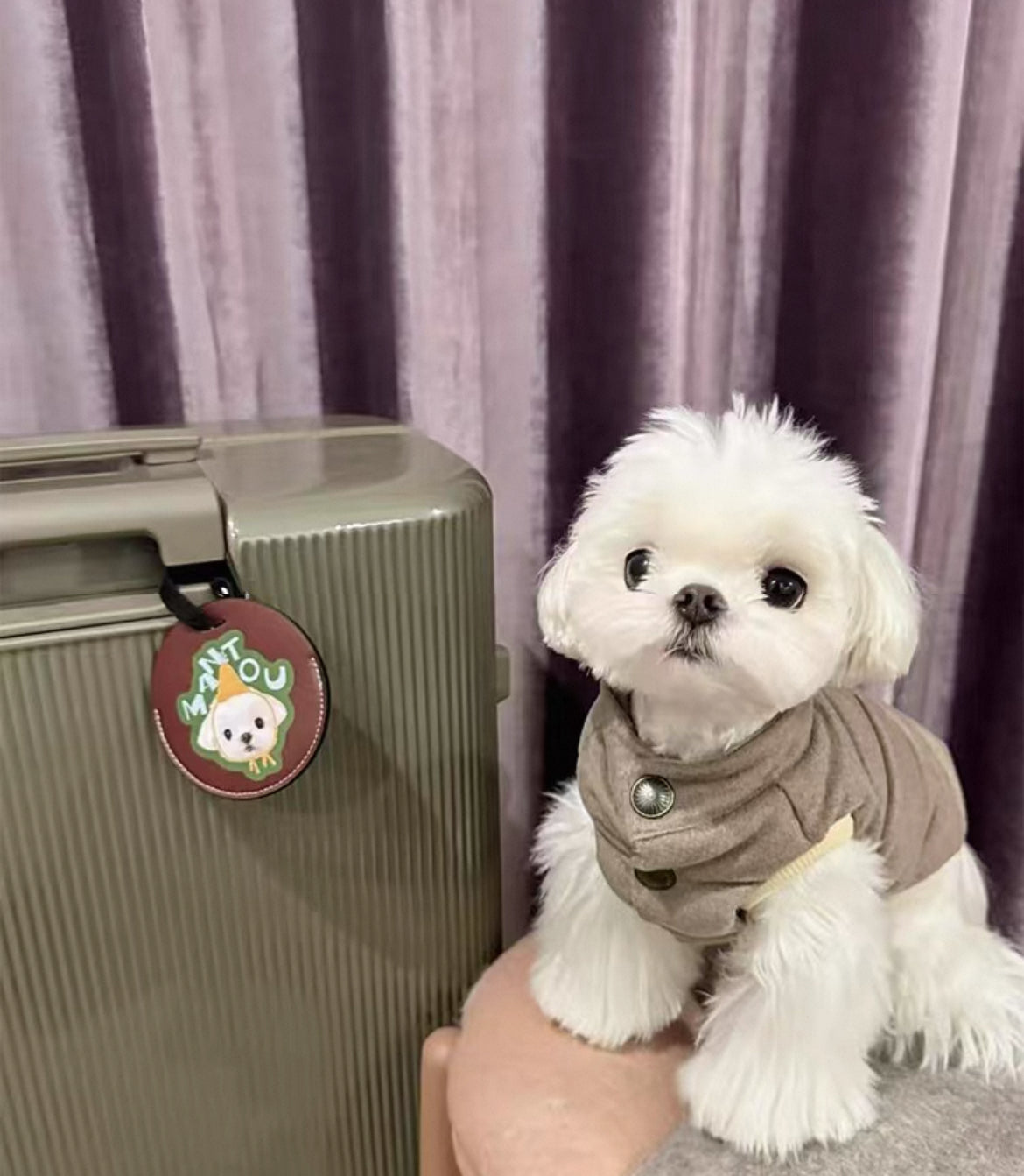 Custom Pet Luggage Tag - Personalized Travel Tag for Pets | Pooji - Personalized Custom Pet Gift