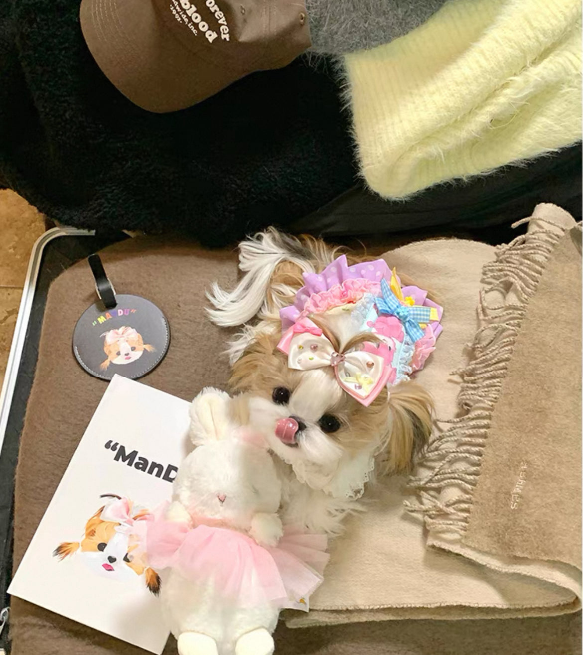 Custom Pet Luggage Tag - Personalized Travel Tag for Pets | Pooji - Personalized Custom Pet Gift