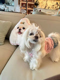 Custom Double-Sided Pet Shaped Pillow - 50cm Clone | Pooji - Personalized Custom Pet Gift