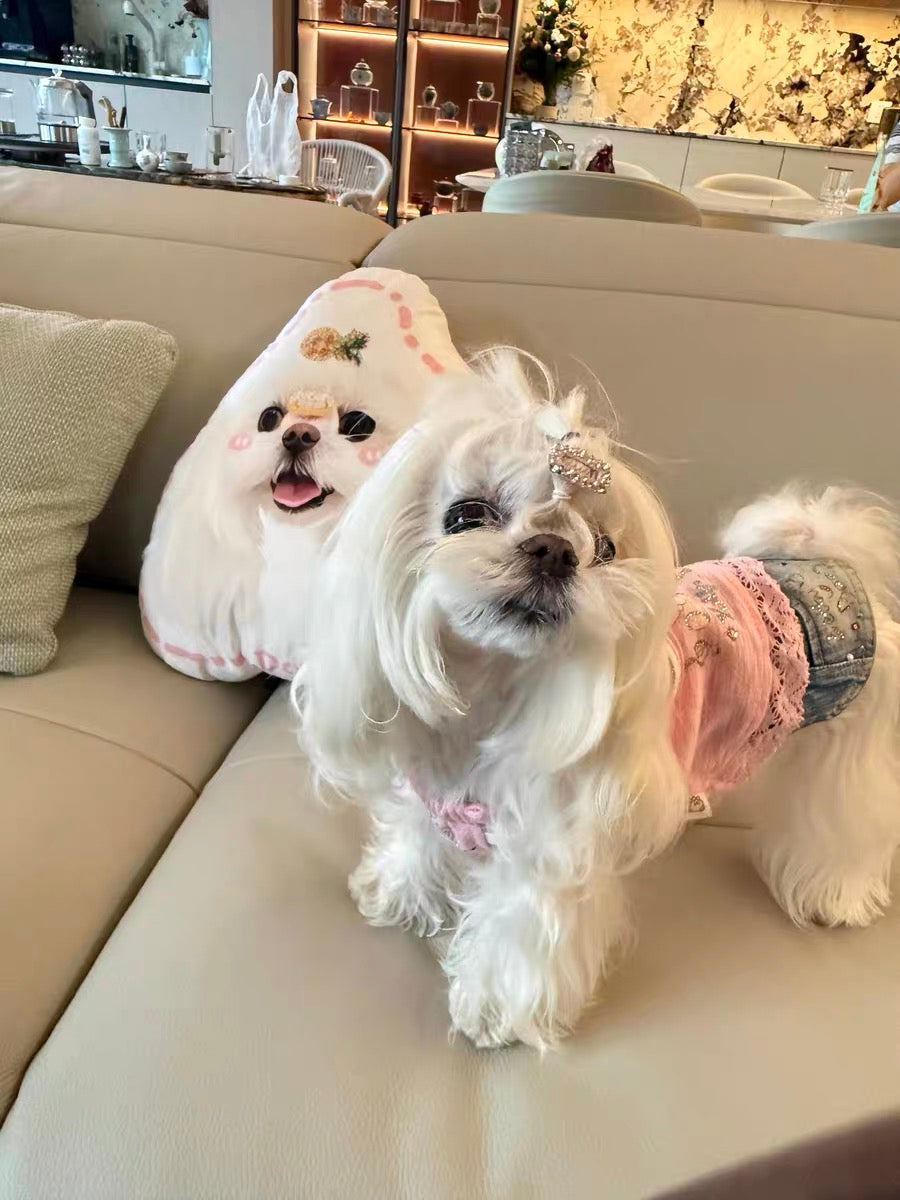 Custom Double-Sided Pet Shaped Pillow - 50cm Clone | Pooji - Personalized Custom Pet Gift