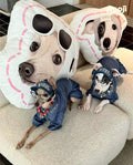 Custom Double-Sided Pet Shaped Pillow - 50cm Clone | Pooji - Personalized Custom Pet Gift