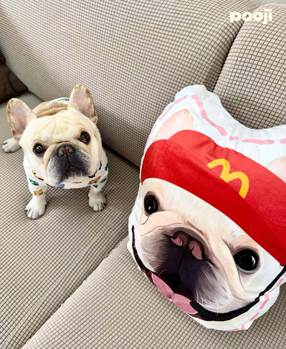 Custom Double-Sided Pet Shaped Pillow - 50cm Clone | Pooji - Personalized Custom Pet Gift