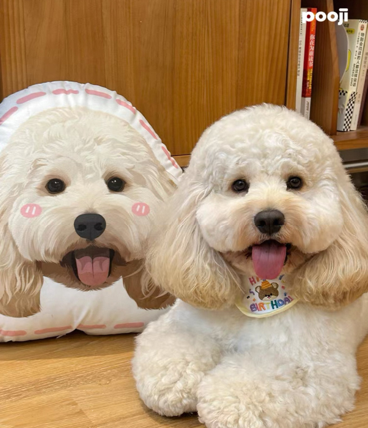 Custom Double-Sided Pet Shaped Pillow - 50cm Clone | Pooji - Personalized Custom Pet Gift