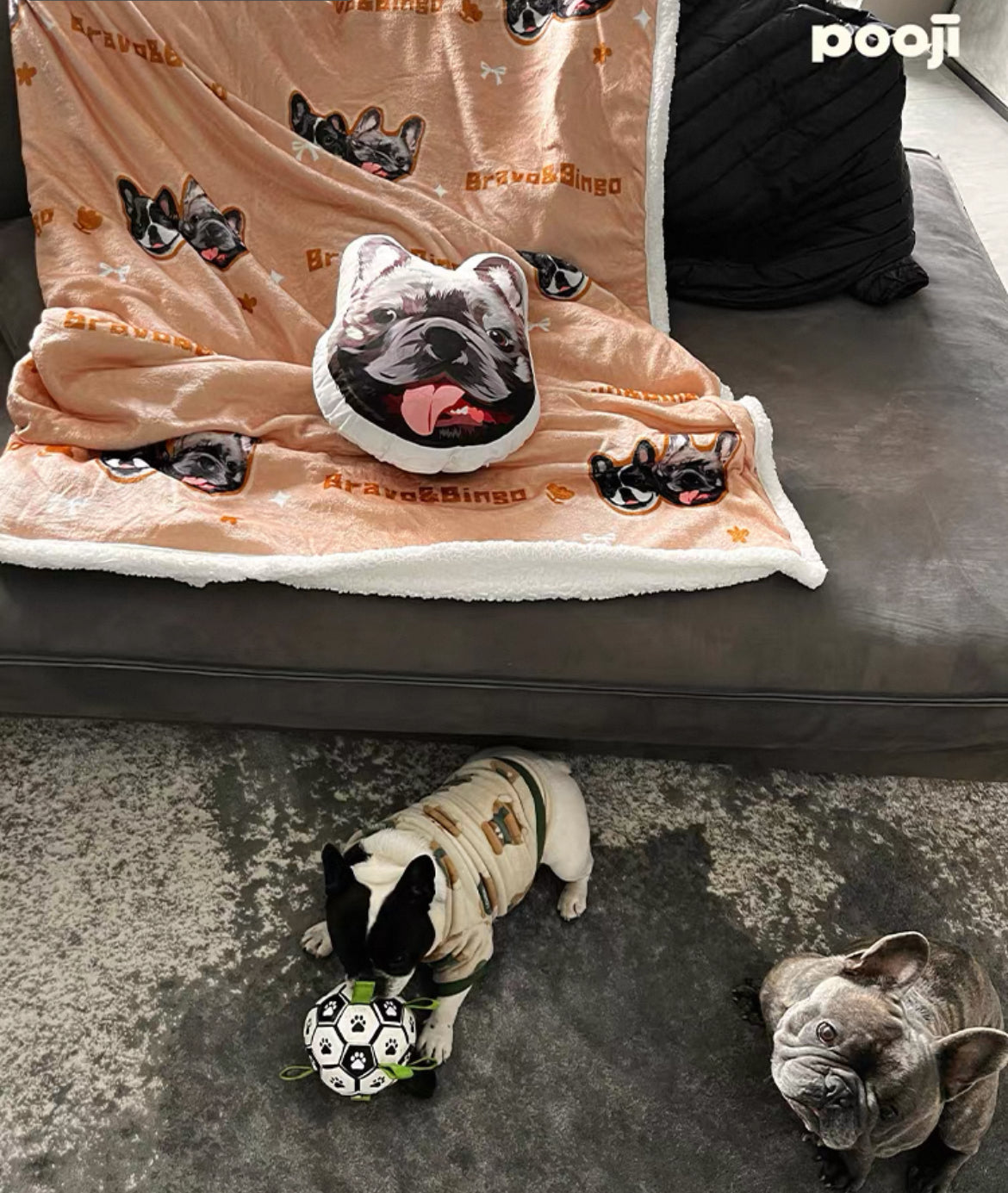 Custom Double-Sided Pet Shaped Pillow - 50cm Clone | Pooji - Personalized Custom Pet Gift
