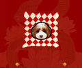 Custom Double-Sided Pet Shaped Pillow - 50cm Clone | Pooji - Personalized Custom Pet Gift