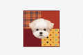 Custom Pet Plush Seat Cushion - Soft Chair Pillow Decor | Pooji - Personalized Custom Pet Gift