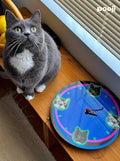 Custom Pet Acrylic Wall Clock - Silent Non-Ticking Decor | Pooji - Personalized Custom Pet Gift