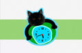 Custom Pet Acrylic Wall Clock - Silent Non-Ticking Decor | Pooji - Personalized Custom Pet Gift