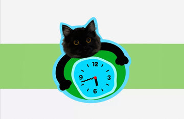 Custom Pet Acrylic Wall Clock - Silent Non-Ticking Decor | Pooji - Personalized Custom Pet Gift