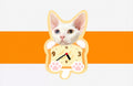 Custom Pet Acrylic Wall Clock - Silent Non-Ticking Decor | Pooji - Personalized Custom Pet Gift