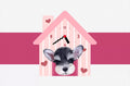Custom Pet Acrylic Wall Clock - Silent Non-Ticking Decor | Pooji - Personalized Custom Pet Gift