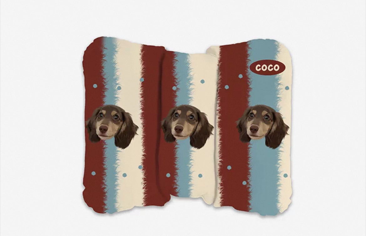Custom Pet Lumbar Support Pillow - Ergonomic Back Relief | Pooji - Personalized Custom Pet Gift