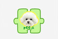 POOJI Custom Pet Acrylic Fridge Magnet - Premium Kitchen Gift - Personalized Custom Pet Gift