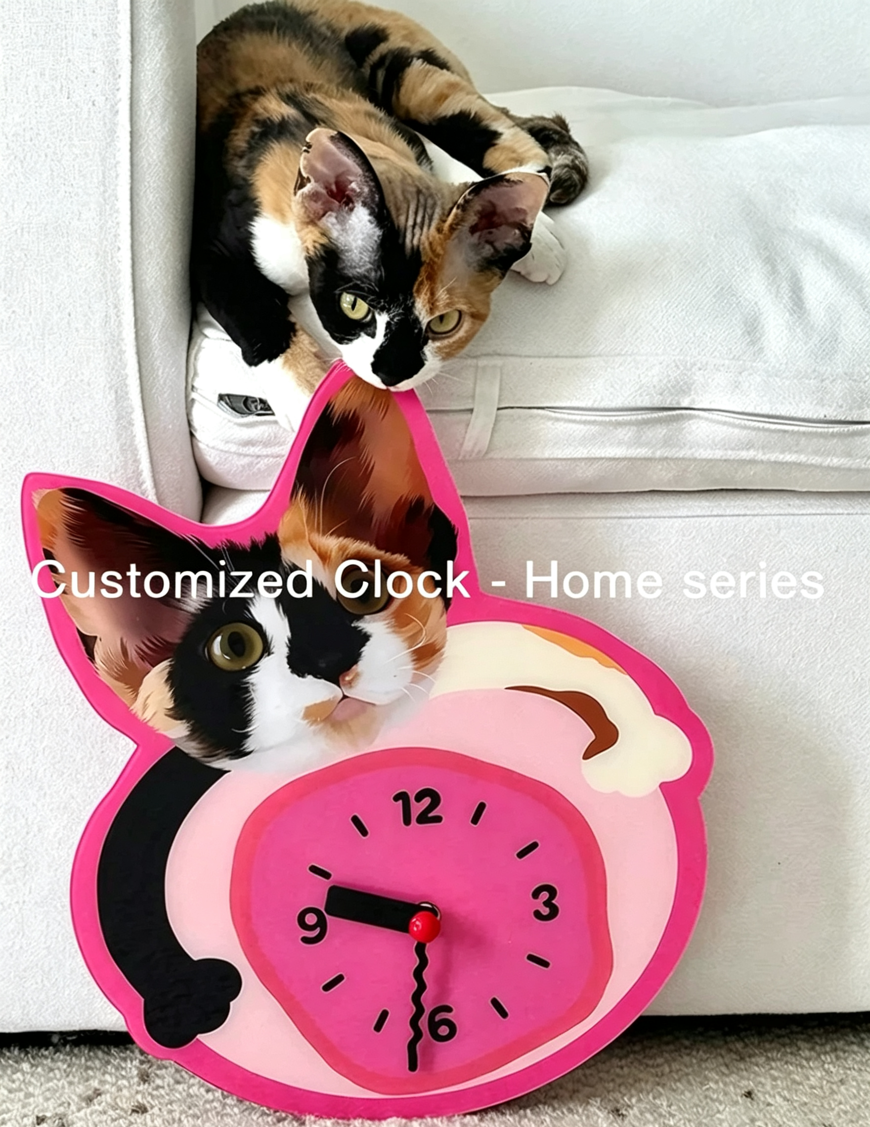 Custom Pet Acrylic Wall Clock - Silent Non-Ticking Decor | Pooji - Personalized Custom Pet Gift